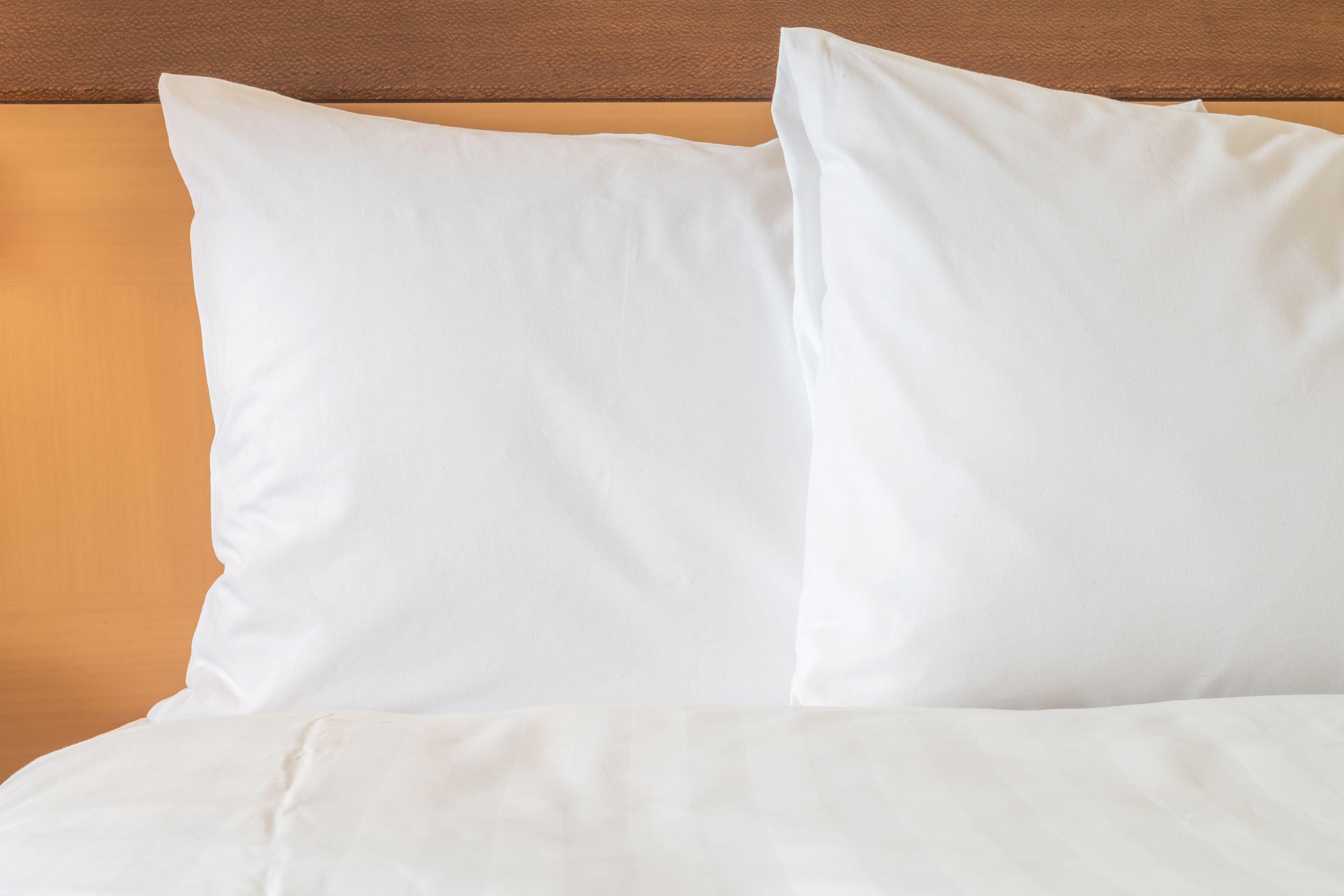 Holiday Inn Express Hotel & Suites Jacksonville-Blount Island By Ihg Luaran gambar